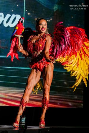 FIT-ANGELS 2 раунд